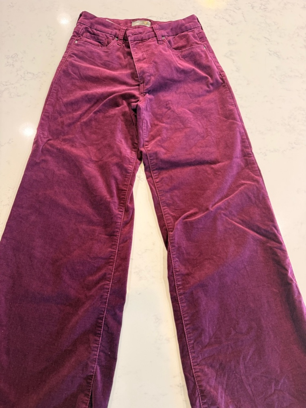 Kut from the Kloth Kids Wide-Leg Corduroy Pants in plum color